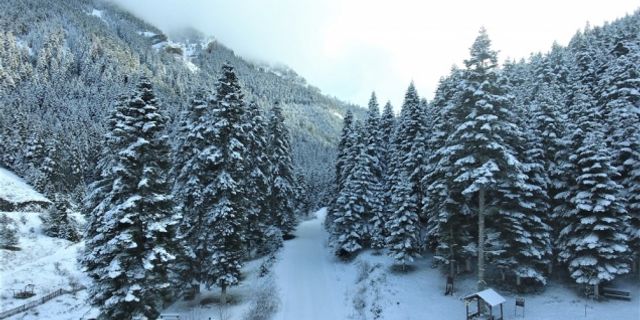 Kastamonu'daki Yaralıgöz Dağı kar yağışının ardından beyaza büründü