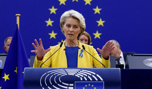 Danimarka'ya AB'den 'Grönland' desteği