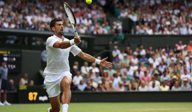 De Minaur sakatlanınca Djokovic finale çıktı