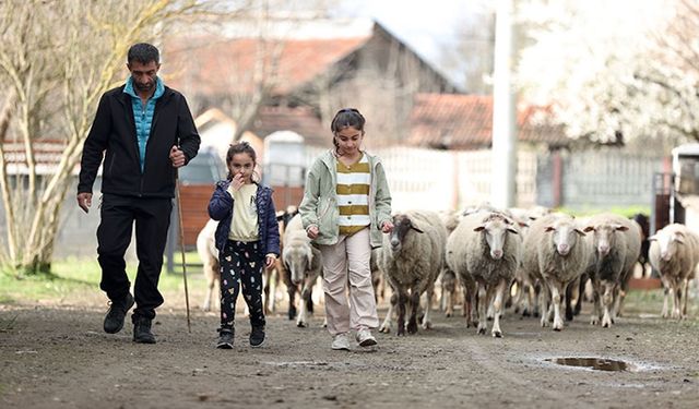 İki koyunla başladılar, Köy hayatında hayallerini gerçekleştirdiler