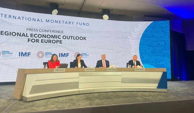 IMF programında Türkiye var mı?