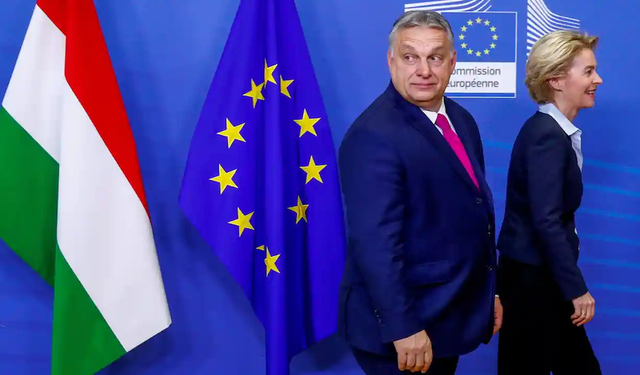 Macaristan Başbakanı Orban ülkesindeki AP seçimini kazandı