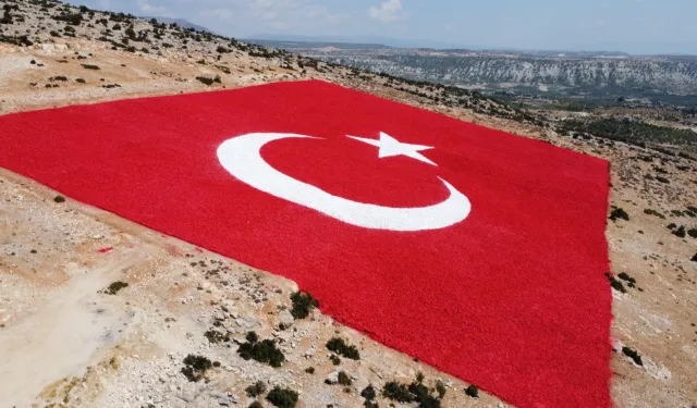 Kadınlar en büyük Türk Bayrağını boyadı