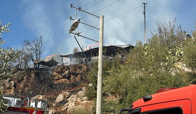 Antalya'da ağılda çıkan yangında 50 küçükbaş hayvan telef oldu