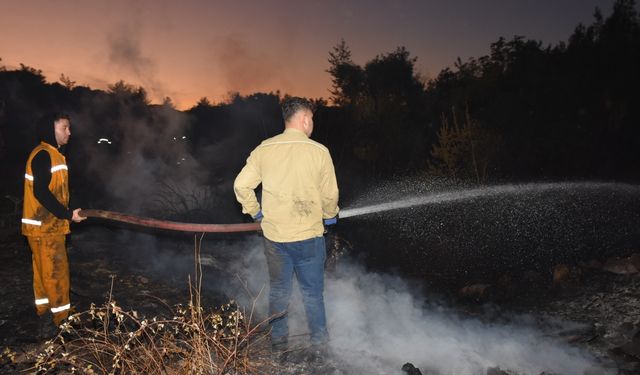 Aydın'da ormanlık ve zeytinlik alanda çıkan yangın kontrol altına alındı