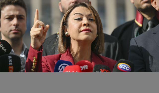 CHP'den "yenidoğan çetesi" soruşturmasına ilişkin suç duyurusu