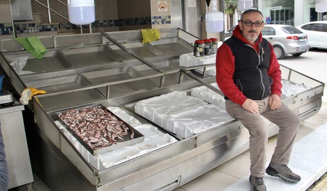 Karadeniz'deki kötü hava şartları balık tezgahlarının boş kalmasına neden oldu