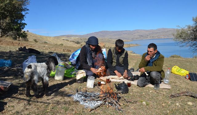 Muş'ta göçerler havanın soğumasıyla dönüş yolculuğuna başladı