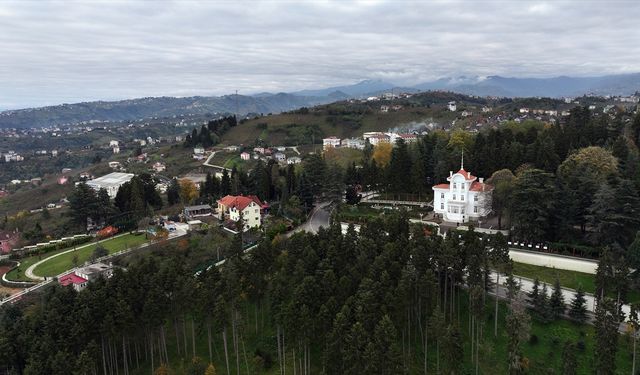 TRABZON - Atatürk Köşkü'nde ziyaretçi yoğunluğu yaşanıyor