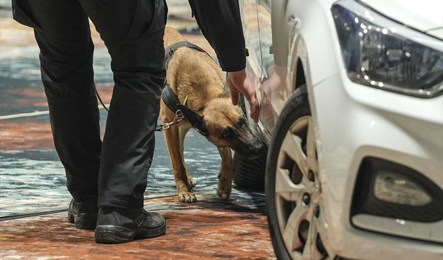 Bosna Hersek'te K9 köpekleri narkotik, silah ve patlayıcı tespiti alanlarında yarıştı