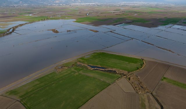 Büyük Menderes Nehri'nde taşkınlar yaşandı