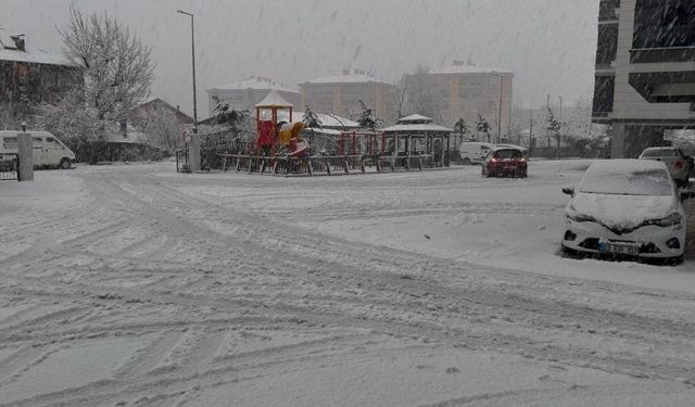 Isparta ve Burdur'da kar yağışı etkili oluyor