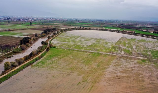 Kuraklık nedeniyle çekilen Büyük Menderes Nehri yağmur sularıyla yeniden canlandı