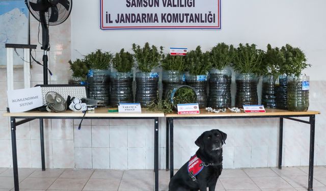 Samsun'da evinde iklimlendirme sistemi kurarak uyuşturucu üreten zanlı yakalandı