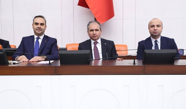 TBMM Genel Kurulunda 2025 yılı bütçesinin maddeleri görüşülüyor