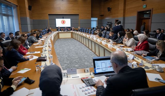 TBMM Kadına Karşı Şiddet ve Ayrımcılığın Önlenmesine Yönelik Meclis Araştırma Komisyonu toplandı