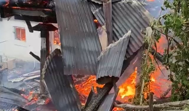 Artvin'de çıkan yangında 4 ev kullanılamaz hale geldi