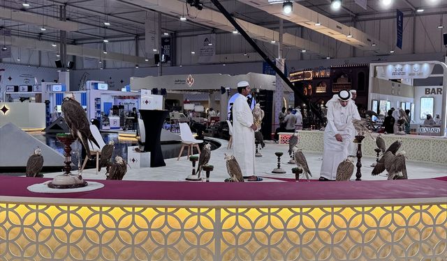 Katar'da '9. Uluslararası Avcılık ve Şahin' sergisi düzenlendi