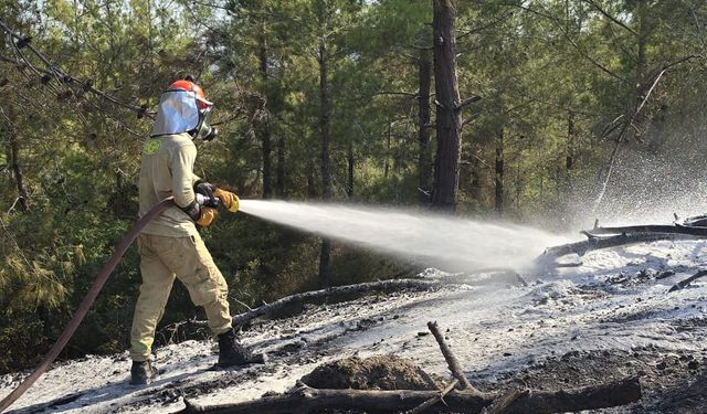 Osmaniye'de çıkan orman yangını söndürüldü