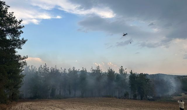 Osmaniye'de çıkan orman yangınına müdahale ediliyor