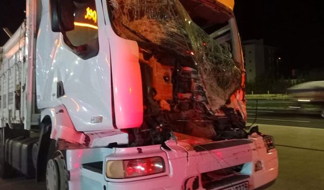 Bilecik'te çekiciye çarpan kamyonun sürücüsü öldü