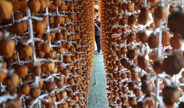 Girişimci iki komşunun kuruttuğu cennet hurması yurt içi ve dışında alıcı buluyor