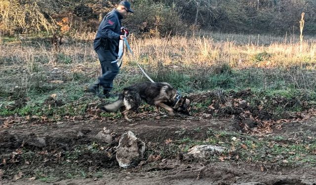GÜNCELLEME - Bursa'da mantar toplamak için gittiği ormanlık alanda kaybolan kişi aranıyor