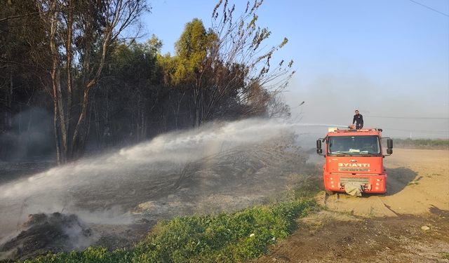 Hatay'da ağaçlık alanda çıkan yangın yayılmadan söndürüldü
