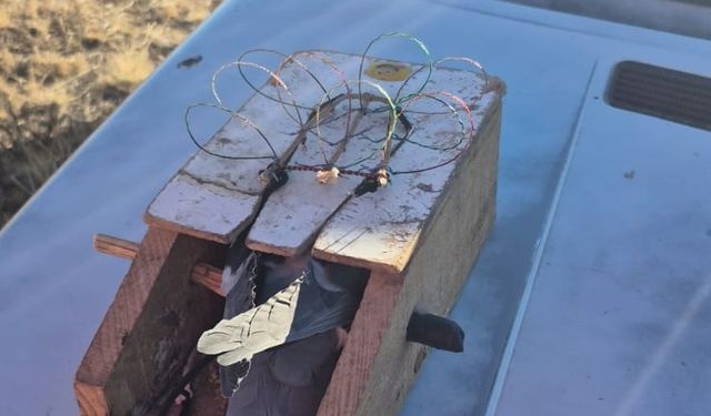 Kars'ta kaçak şahin avlayan 2 kişiye 661 bin 682 lira ceza uygulandı