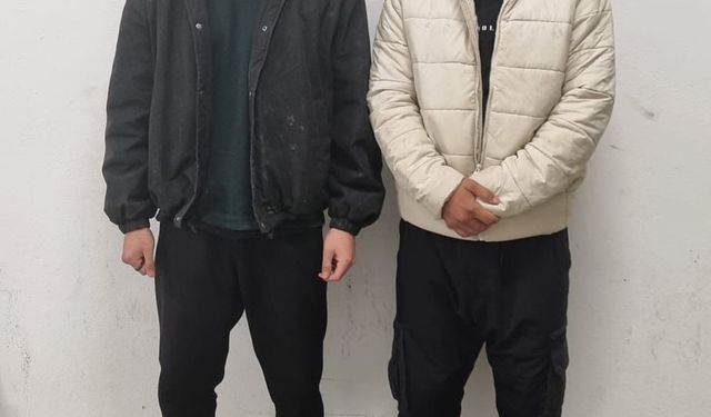 Edirne'de 9 kaçak göçmen yakalandı