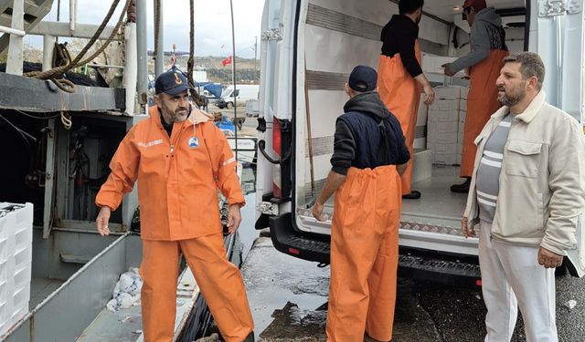 Marmara'da lodos dindi; Tekirdağlı balıkçılar, 600 kasa balık avladı