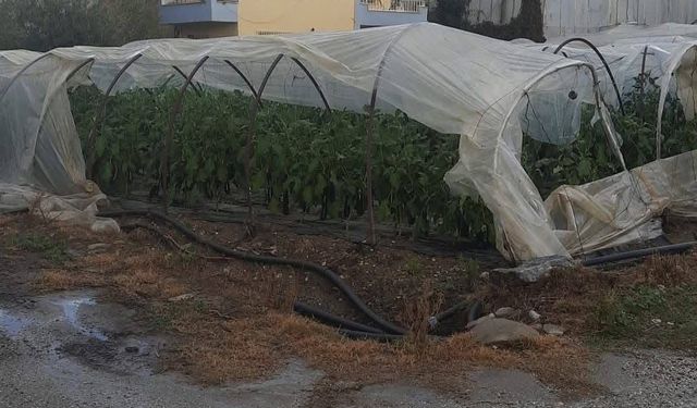 Mersin'de hortumlar evlere ve seralara zarar verdi