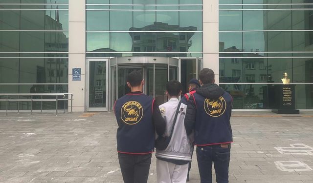 Ordu'da jandarma operasyonlarında 64 tutuklama