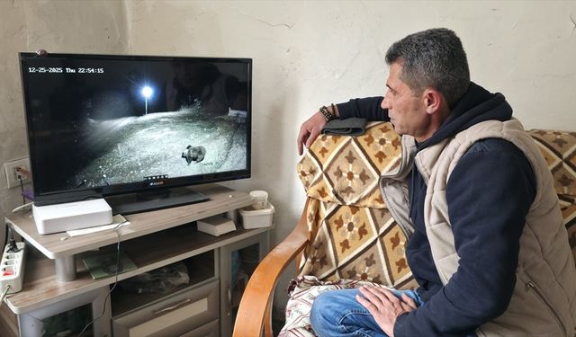 Amasya'da köye inen ayı güvenlik kamerasıyla görüntülendi