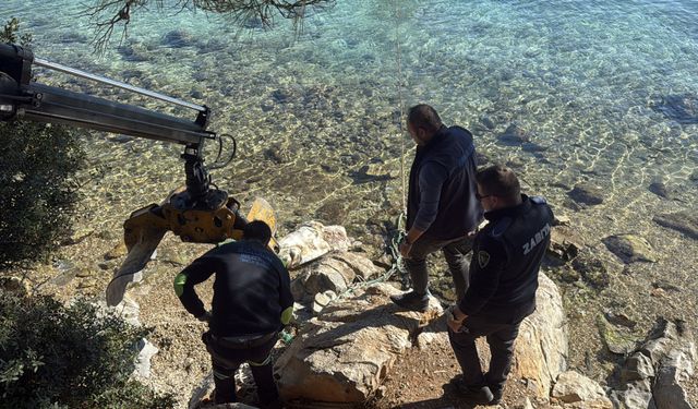 Bodrum'da ölü caretta caretta kıyıya vurdu