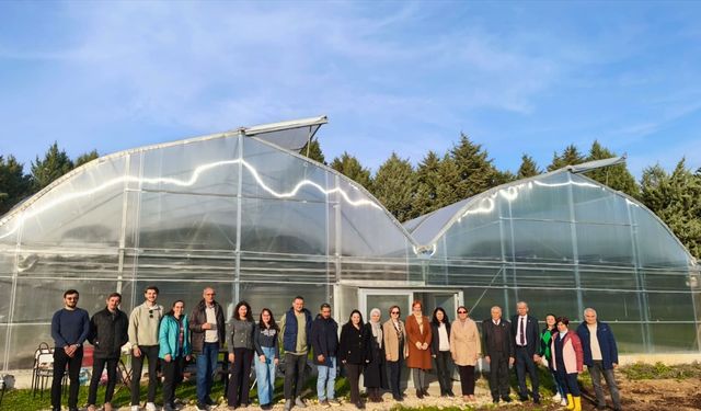 Bursa'da güneşten güç alan sera projesi hayata geçirildi
