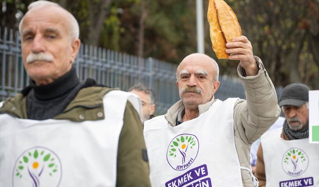 DEM Parti Eş Genel Başkanları Hatimoğulları ve Bakırhan, Ankara'daki yürüyüşe katıldı
