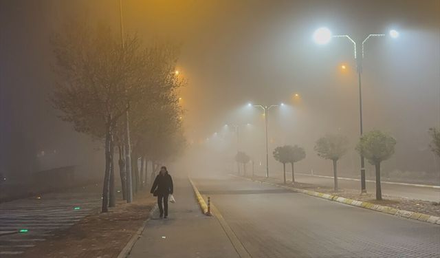 Isparta'da sis etkili oldu