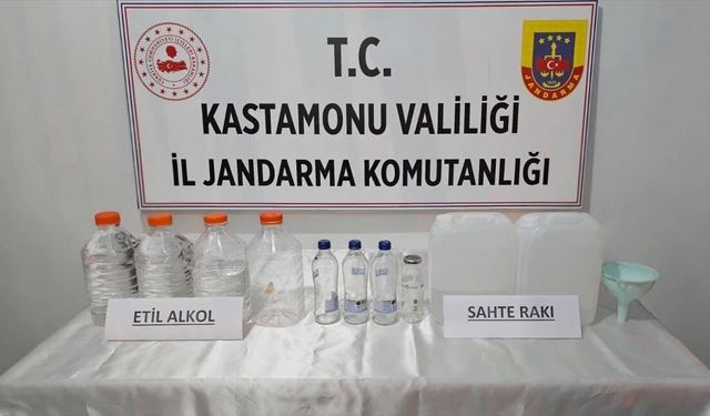 Kastamonu'da ruhsatsız silah ve sahte içki operasyonlarında 5 zanlı gözaltına alındı
