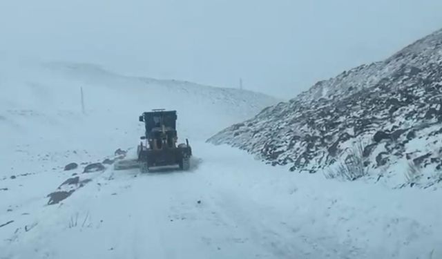 850 metre rakımlı Iğdır Tuzluca'da kar yağışı etkili oluyor