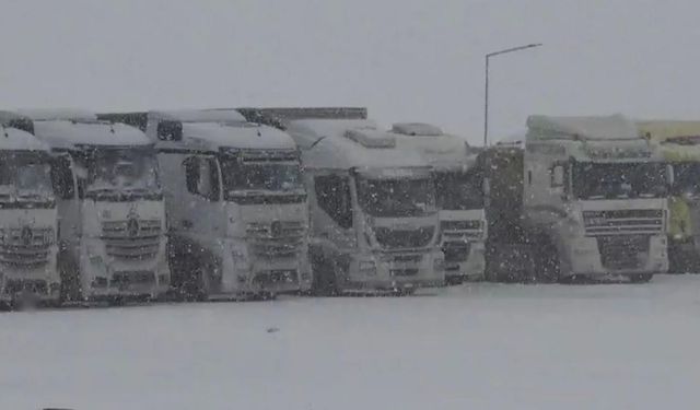Ardahan'da kar ve tipi: Ilgar Geçidi ulaşıma kapandı, pansiyonun çatısı uçtu