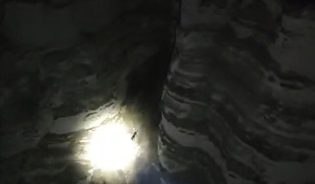 Avcılar, uçurumdan yuvarlanan köpeği kurtardı