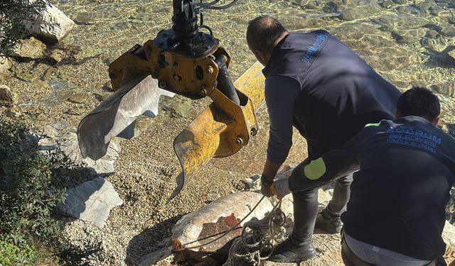 Bodrum'da ölü caretta caretta kıyıya vurdu
