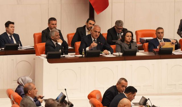 Bütçe görüşmeleri sürerken Genel Kurul'da 'Leyla Zana' kınaması