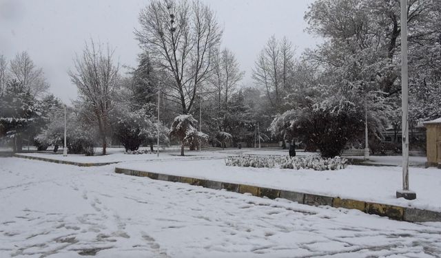 Erzincan'da kar yağışı