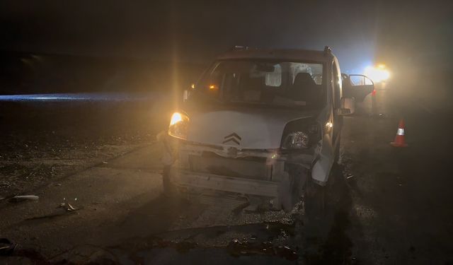 Hafif ticari araç, sürüye çarptı; sürücü yaralı, 12 koyun öldü