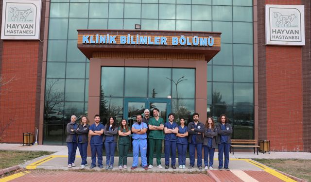 Köpek saldırısında yaralanan vaşak hayata tutundu