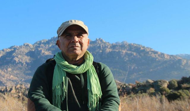 Kuşadası'nda 1 haftada 3 deniz kaplumbağası ölü bulundu