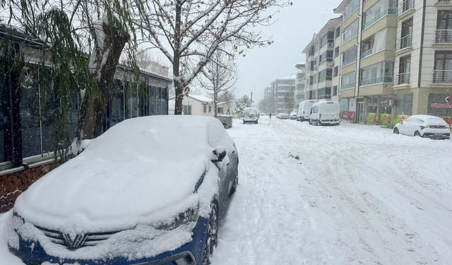 Tunceli'de 301 köy yolu kardan kapandı (2)