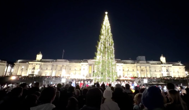 Trafalgar Meydanı'nda Norveç noel ağacı ışıklandırıldı